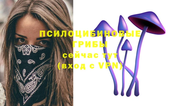 мет Кинешма